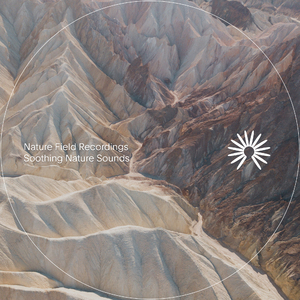 Camp Sounds at Night