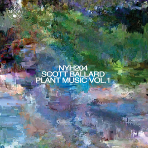 Improvisation with Peace Lilly and MC-303 Pt. 3 (Live)