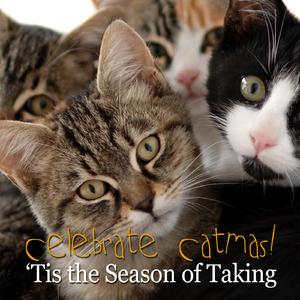 'Twas the Night Before Catmas