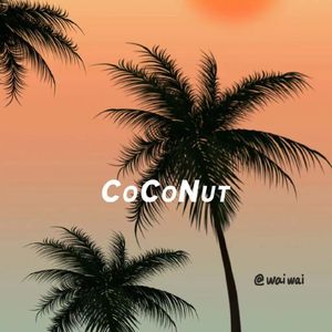 月光总会落在你身上