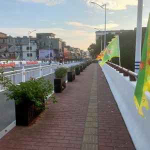 自由漫步(纯音乐)