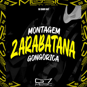 Montagem Zarabatana Gongórica