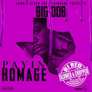 Shine (Slowed & Chopped)