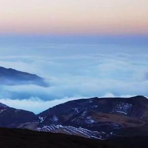 爱你就像爱生命