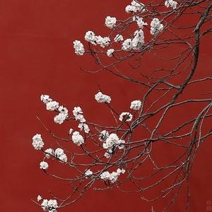 宿敌（翻自 许嵩）