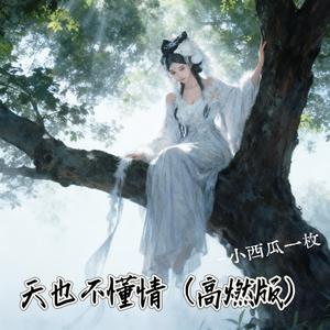 天也不懂情 (高燃版)
