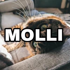Molli