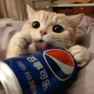 安河桥（原唱 宋东野）（翻自 宋冬野）