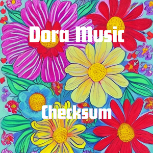 Checksum