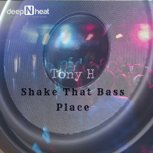 Shake That Bass Place (Original Mix)