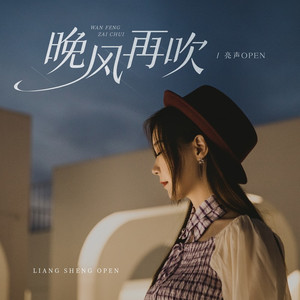 晚风再吹 (DJ九零粤语版伴奏)