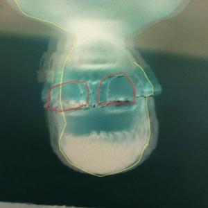 Sashimi (feat. Júlia)