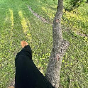 Roots