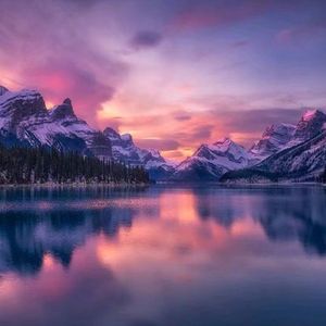 做自己的自由花