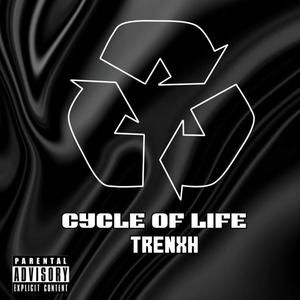 Cycle Of Life