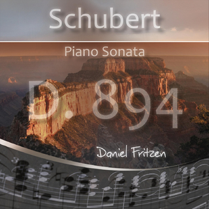 Piano Sonata in G Major, D. 894: II. Andante (Live)