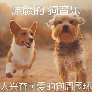 微妙的可爱的狗心情