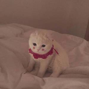 零几年听的情歌（甜甜版）