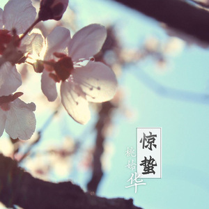 惊蛰（live&女版）