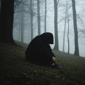 未说的话 (Cover 观鱼潭)