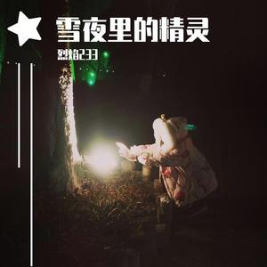 雪夜里的精灵