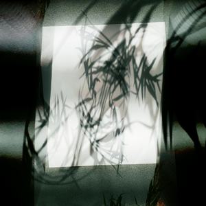 It Started Raining but It Only Lasted a Short Time