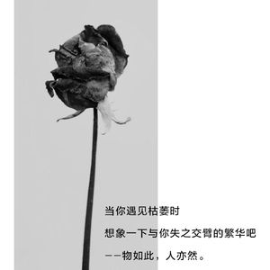 顾玖南.-玫瑰（前奏）