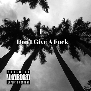 I Don't Give a ****