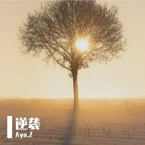 霜花车窗