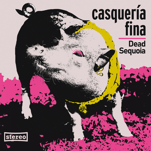 Casquería