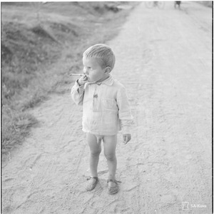 Avaritia (2018 Version)