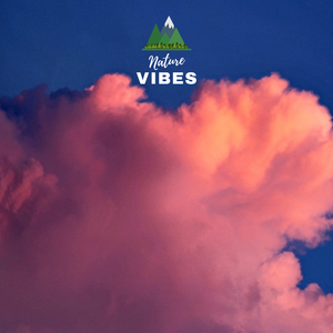 Shallow Rivers & Frogs