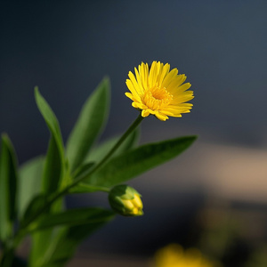 Tomorrow Starts Here