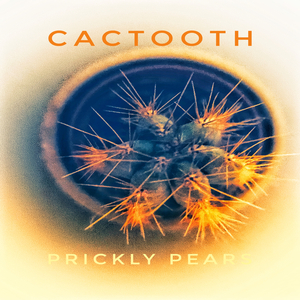 Ronny Rockow And Todd