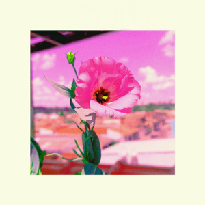 A Tela Azul do Meu Celular