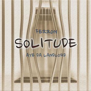 Solitude (feat. Ferron)