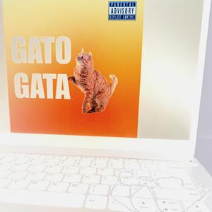 gato gata
