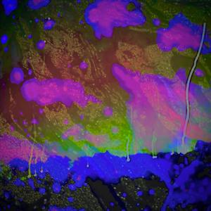 spruce (ambient guitars only)