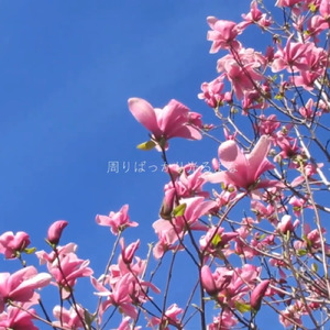 周りばっかり光るよな