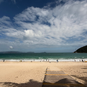 懂了就懂了(Live)