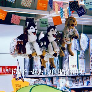 下辈子一起去土耳其做流浪狗