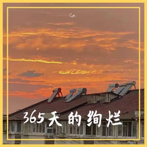365天的绚烂