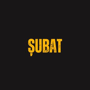 ŞUBAT