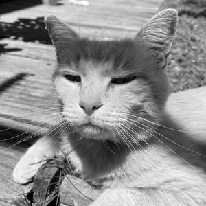 alone with my thoughts