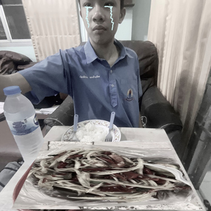 ส้มตำที่ไม่มีเธอ