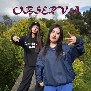 Observa