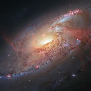 No Guidance (Slowed)