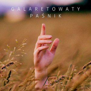 Galaretowaty Paśnik