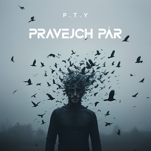 P.T.Y Pravejch Páár