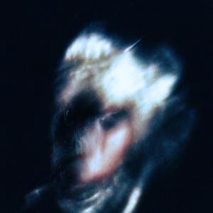 FEELZ LYKE 700 DAGREEZ